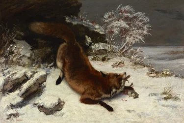 Fuchs im Schnee